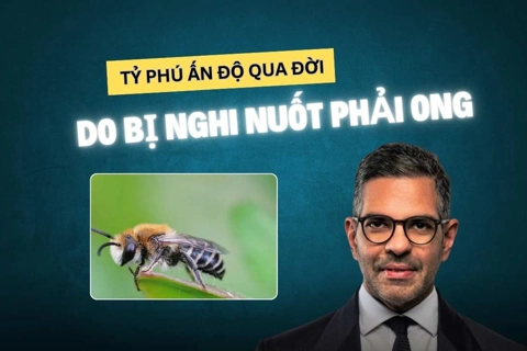 Tỷ phú Ấn Độ qua đời do bị nghi nuốt phải ong
