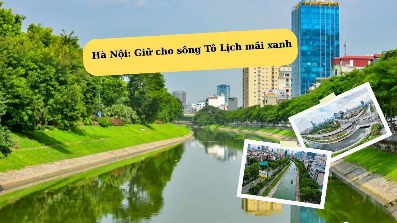 Hà Nội: Giữ cho sông Tô Lịch mãi xanh