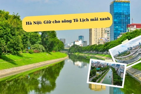 Hà Nội: Giữ cho sông Tô Lịch mãi xanh