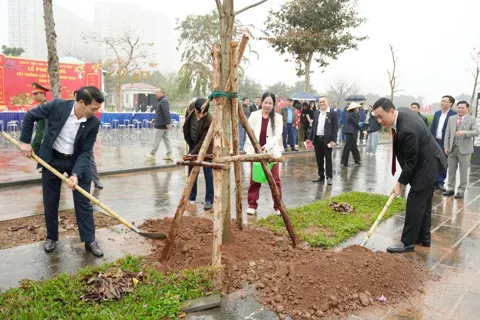 Phường Yên Nghĩa phát động Tết trồng cây, lan tỏa thông điệp đô thị xanh từ đầu Xuân