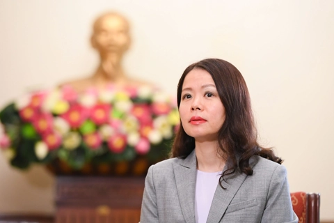 Ba thông điệp lớn Việt Nam muốn đem đến Hội nghị thượng đỉnh BRICS mở rộng 2025