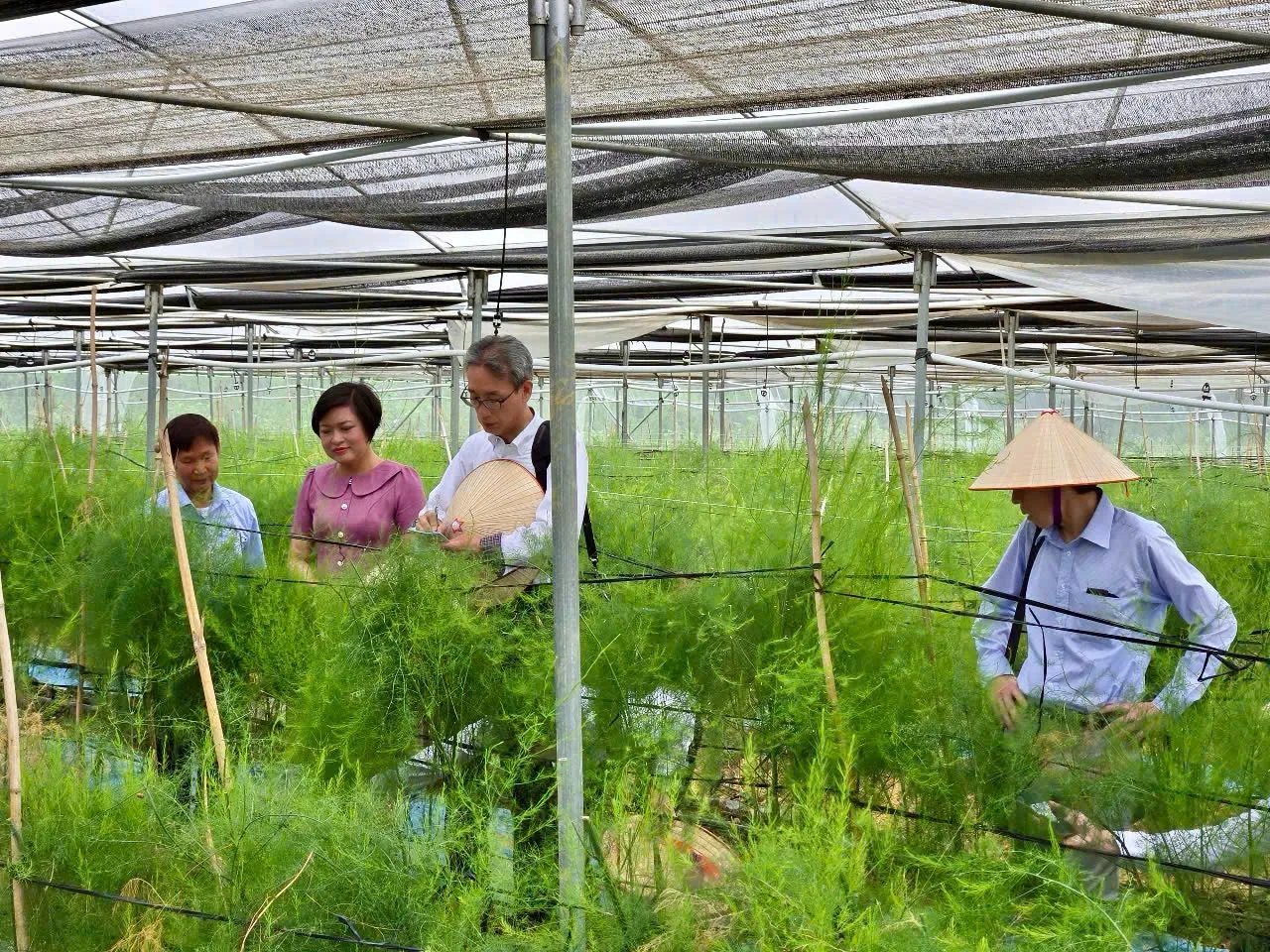 Hình ảnh 2