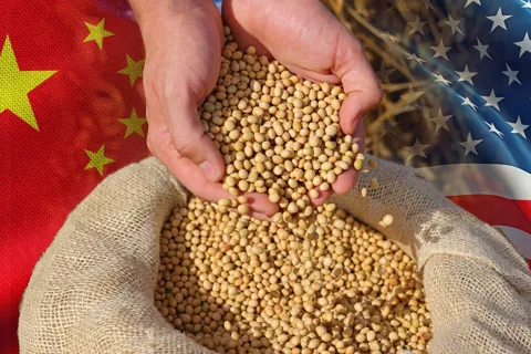 Hậu cuộc gặp thượng đỉnh, Mỹ-Trung còn "ganh" về đậu tương?