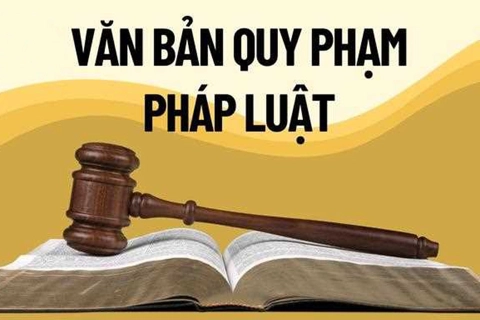 Bảo đảm chất lượng các dự án luật, đẩy nhanh tiến độ soạn thảo văn bản quy định chi tiết