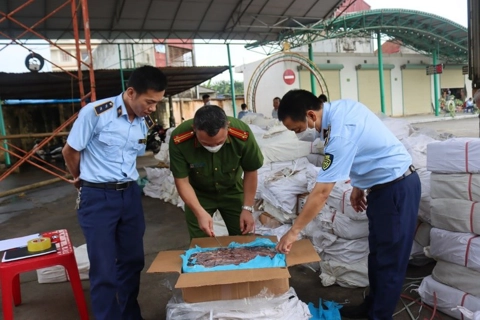 Mở đợt cao điểm ngăn chặn, đẩy lùi buôn lậu, gian lận thương mại từ 15/5 đến 15/6/2025
