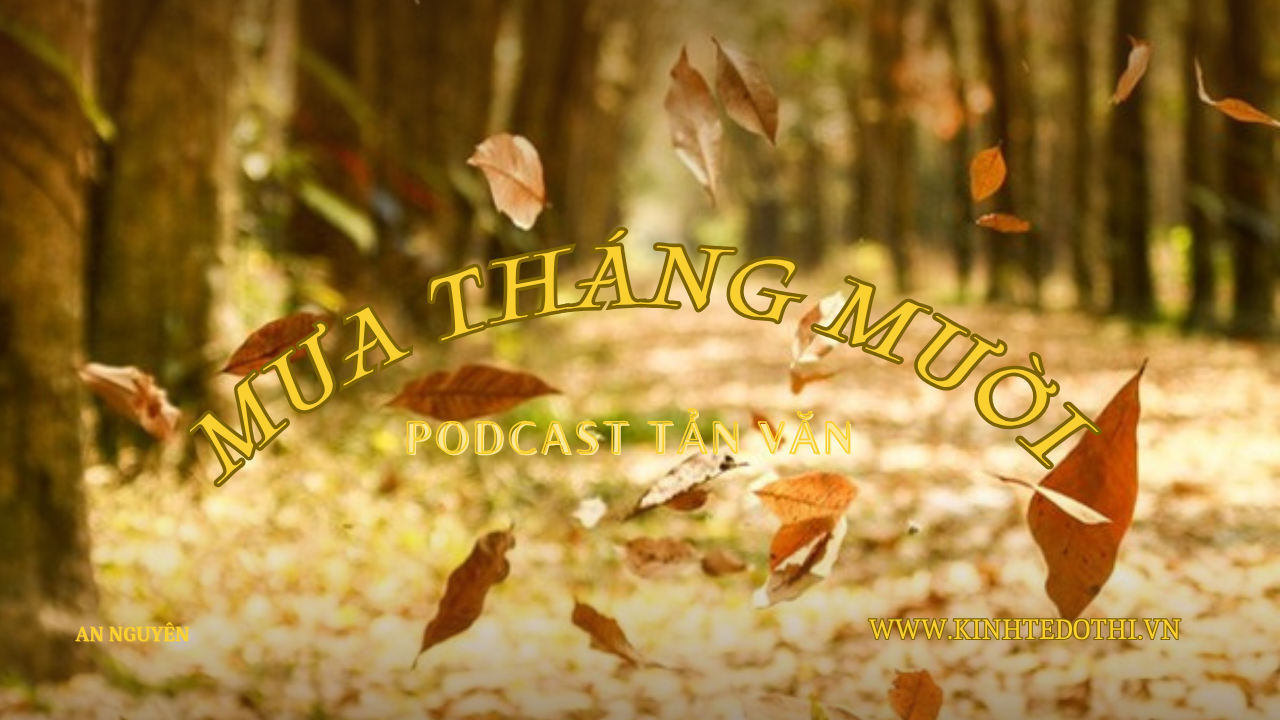Podcast tản văn: Những cơn mưa không hẹn trước..
