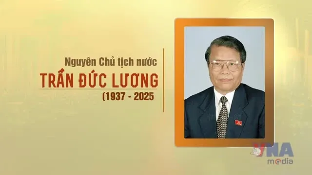 Hình ảnh 1
