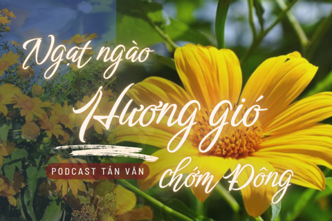 Podcast tản văn: Ngạt ngào hương gió chớm Đông