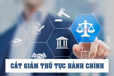 Tập trung hoàn thành thực thi các phương án cắt giảm, đơn giản hóa thủ tục hành chính, điều kiện kinh doanh năm 2025
