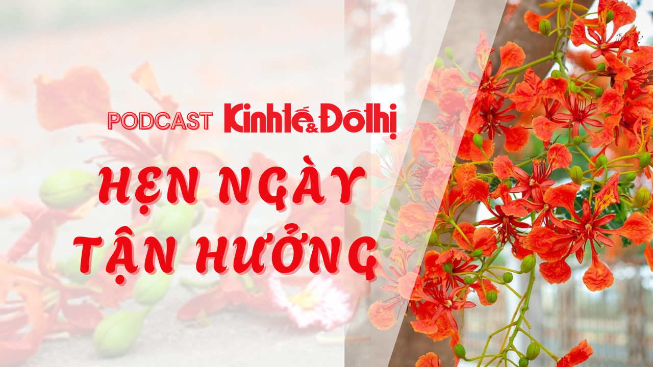 Ảnh podcast Ảnh podcast