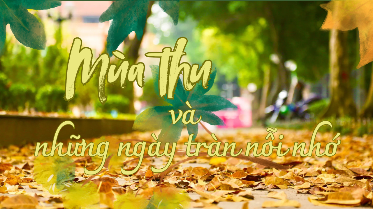 Ảnh podcast