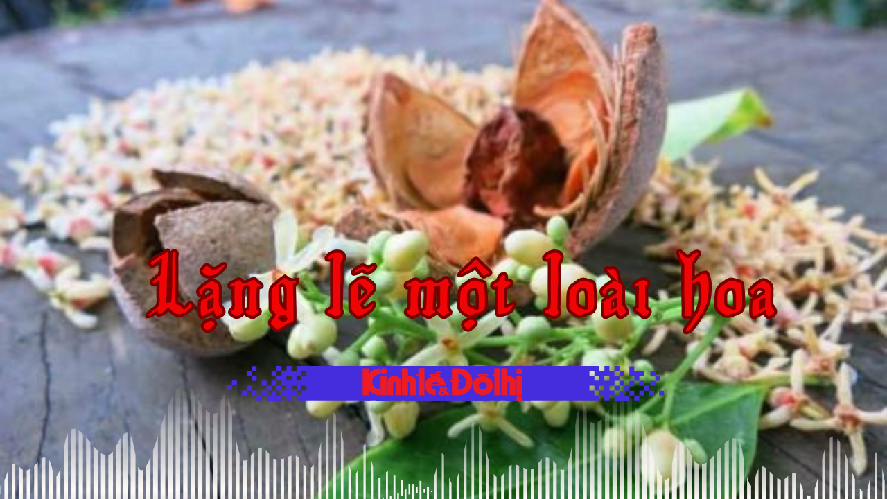Ảnh podcast Ảnh podcast