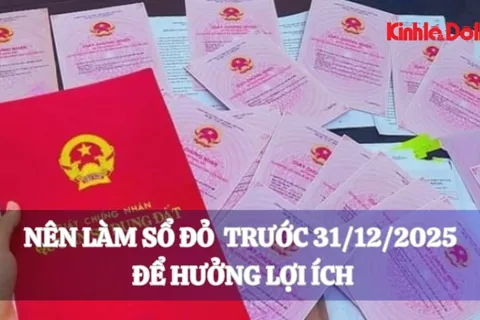 Nên làm sổ đỏ trước 31/12/2025 để hưởng lợi ích