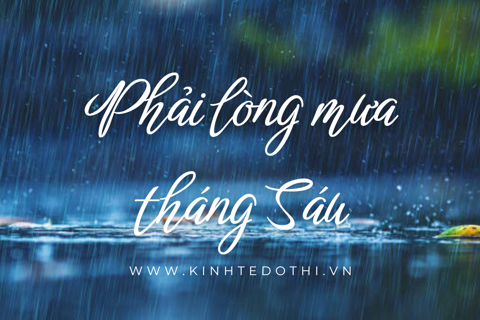 Podcast tản văn: Phải lòng mưa tháng Sáu
