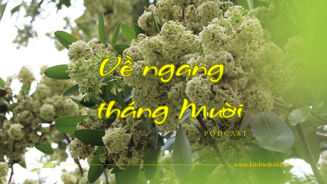 Podcast Tản văn: Về ngang tháng Mười