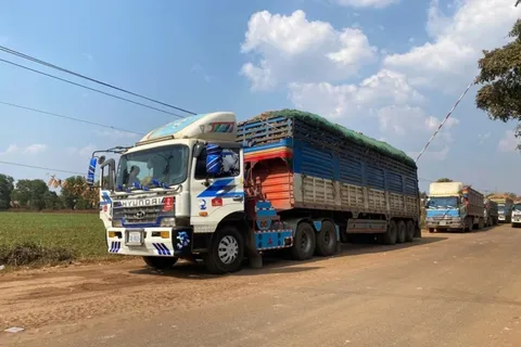 Thủ tướng chỉ đạo tháo gỡ vướng mắc trong triển khai Nghị định 46/2026/NĐ-CP về thi hành Luật An toàn thực phẩm