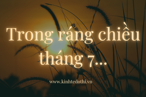 Podcast tản văn: Trong ráng chiều tháng 7 ...