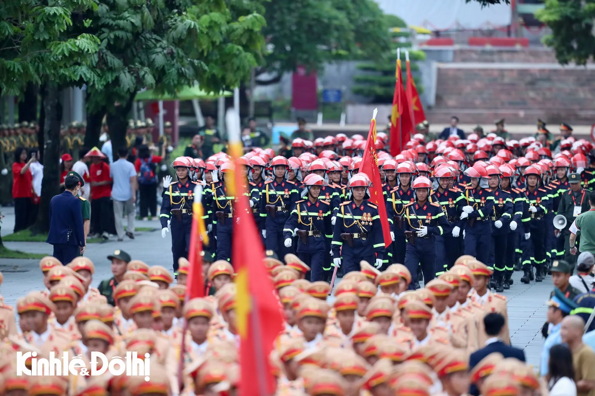 Hình ảnh 6