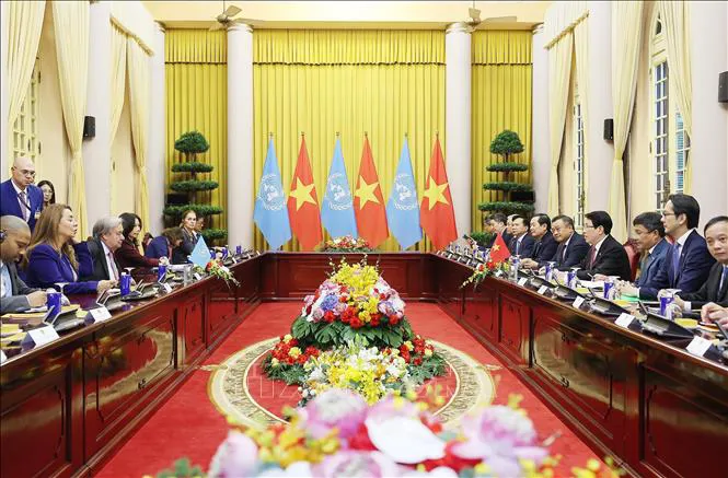 Hình ảnh 1