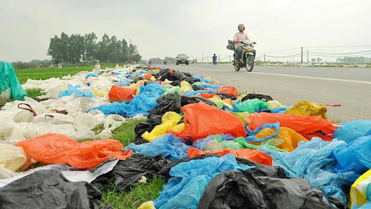 Hình ảnh 2