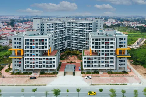 Chưa đủ sức ngăn hành vi vi phạm