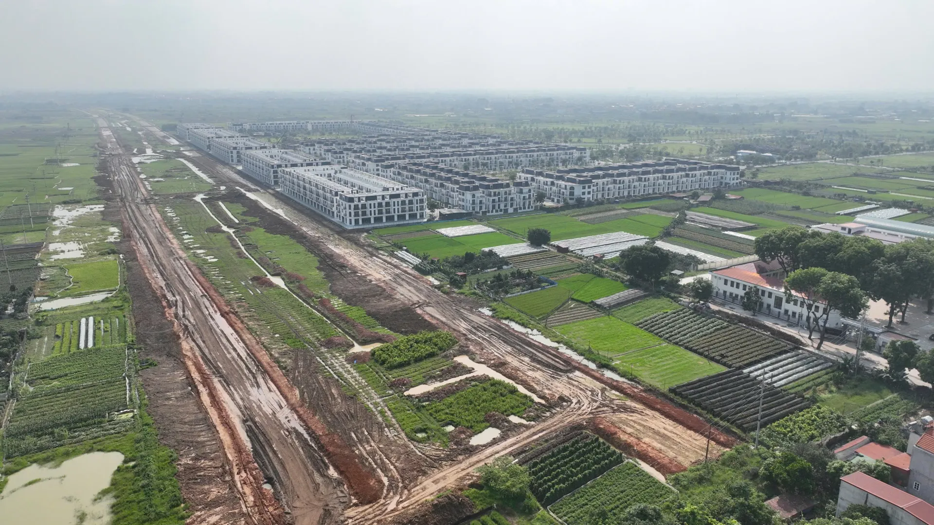 Hình ảnh 1