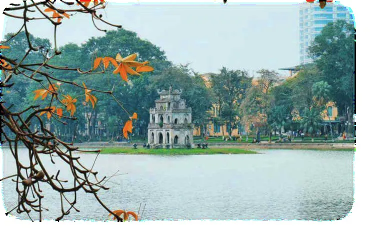 Hình ảnh 1