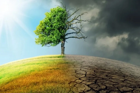 Biến đổi khí hậu và những hệ lụy nhãn tiền