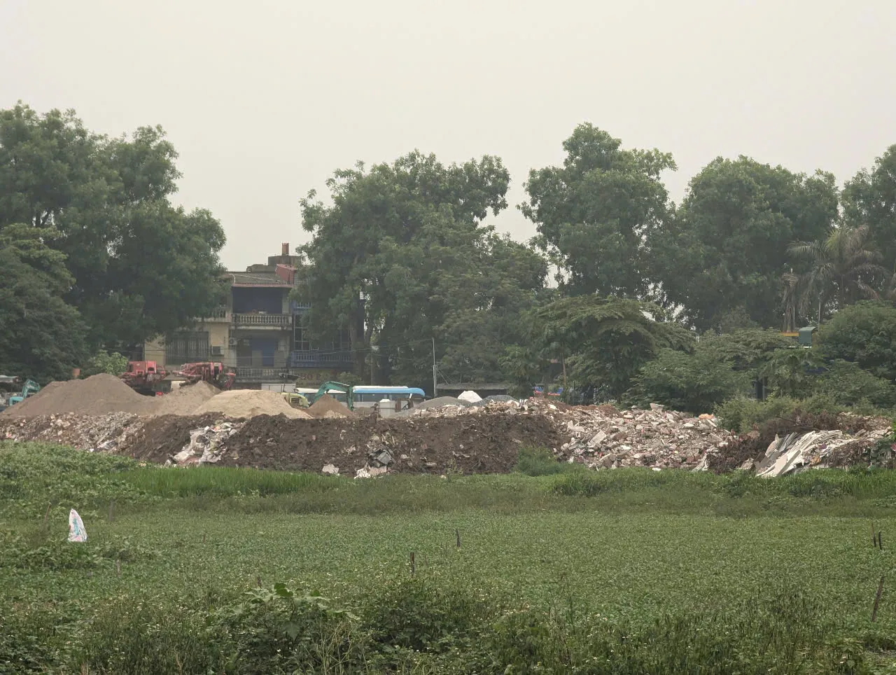 Hình ảnh 1