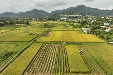 Câu chuyện của khói...
