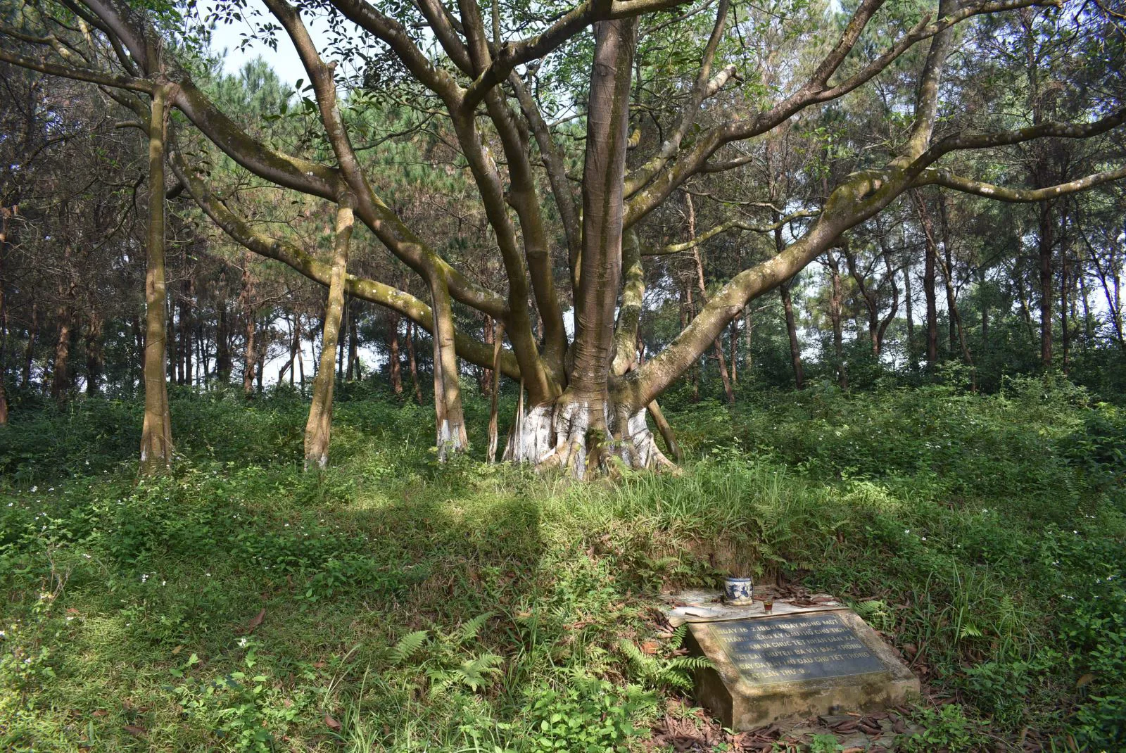 Hình ảnh 1
