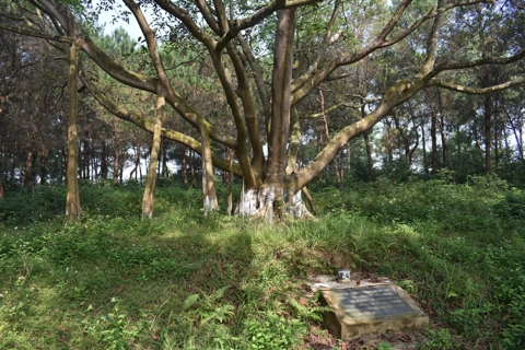Tháng 5 nhớ lời Bác