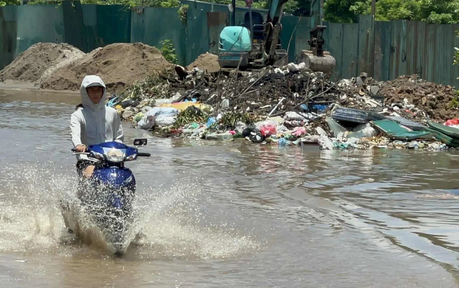 Hình ảnh 1
