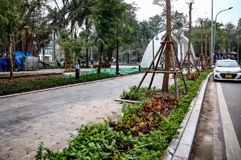 Xử lý dứt điểm vi phạm quy hoạch công viên, vườn hoa