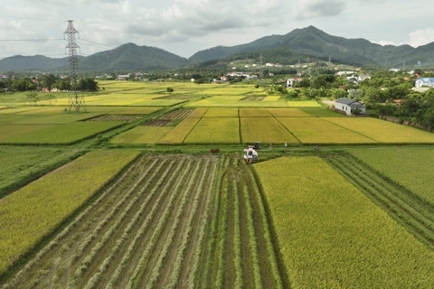 Khi lòng dân đồng thuận