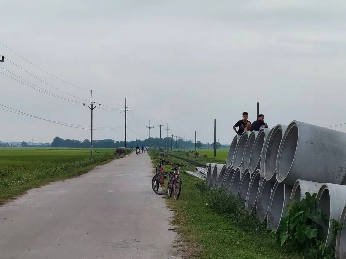 Hình ảnh 1