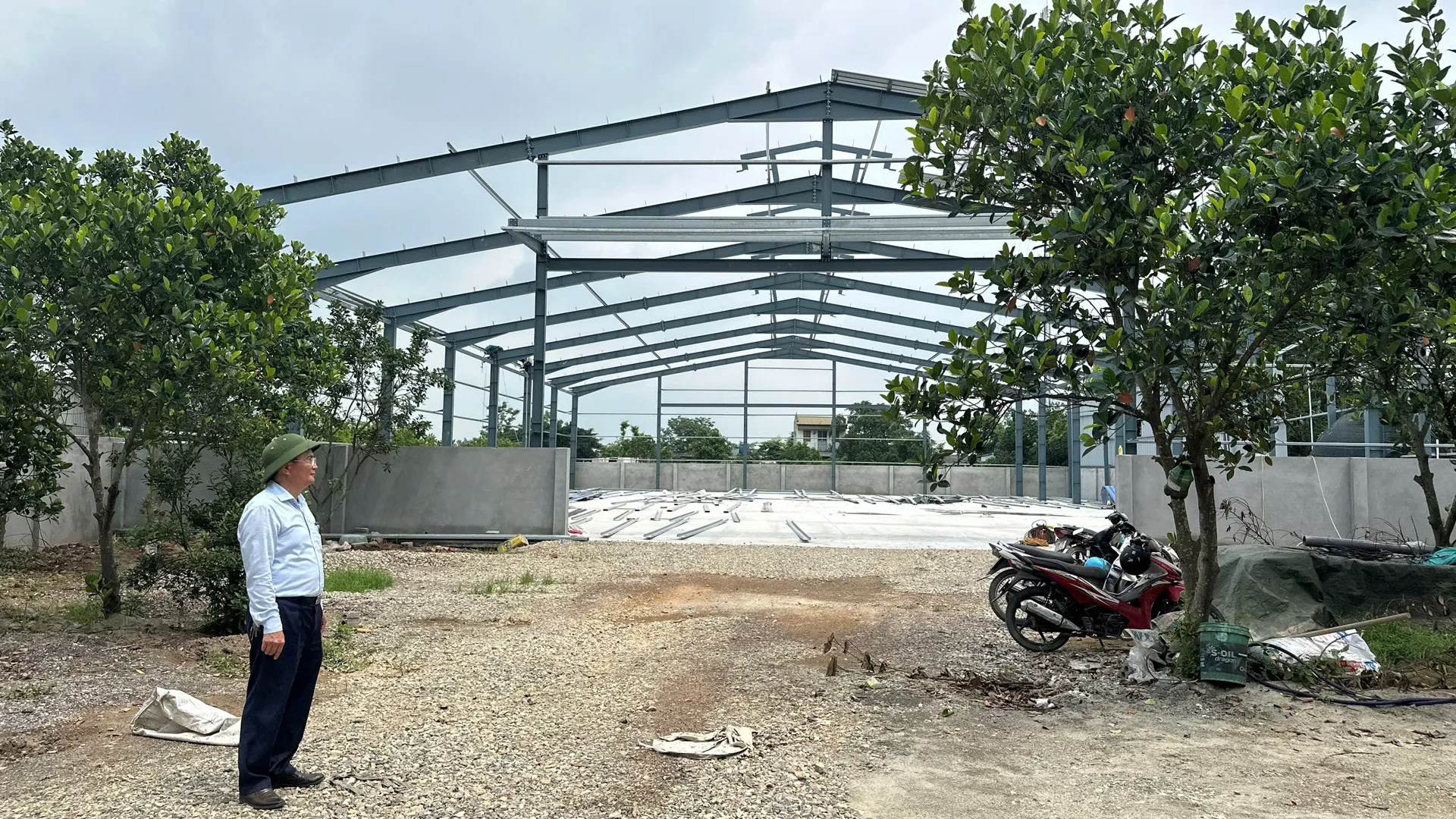 Hình ảnh 1