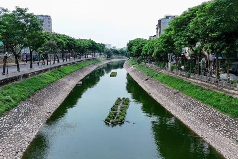Hồi sinh thiên nhiên, khôi phục ký ức