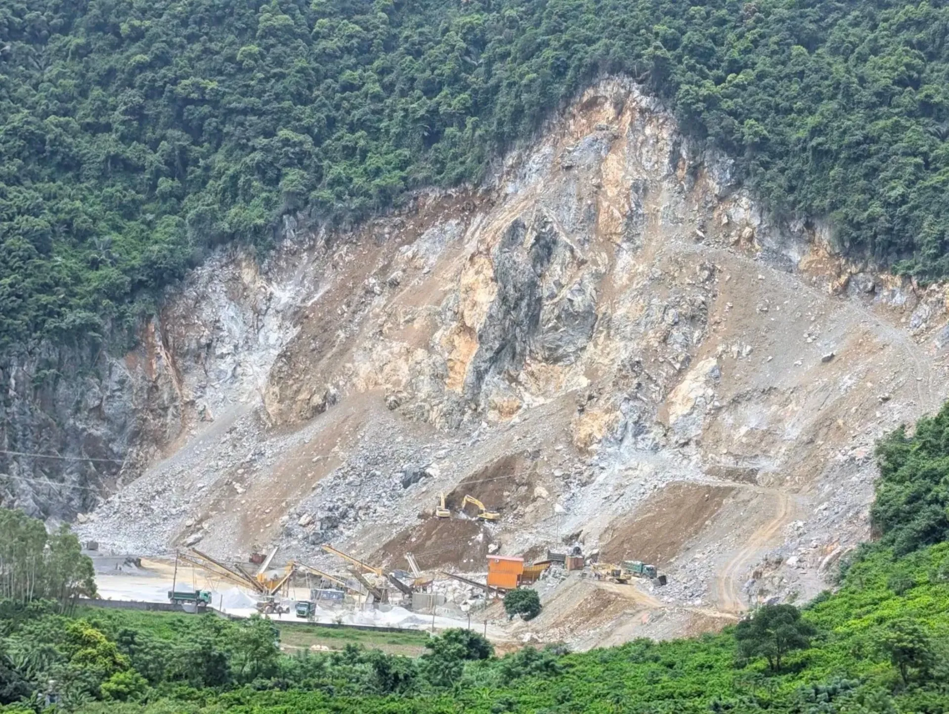 Hình ảnh 2