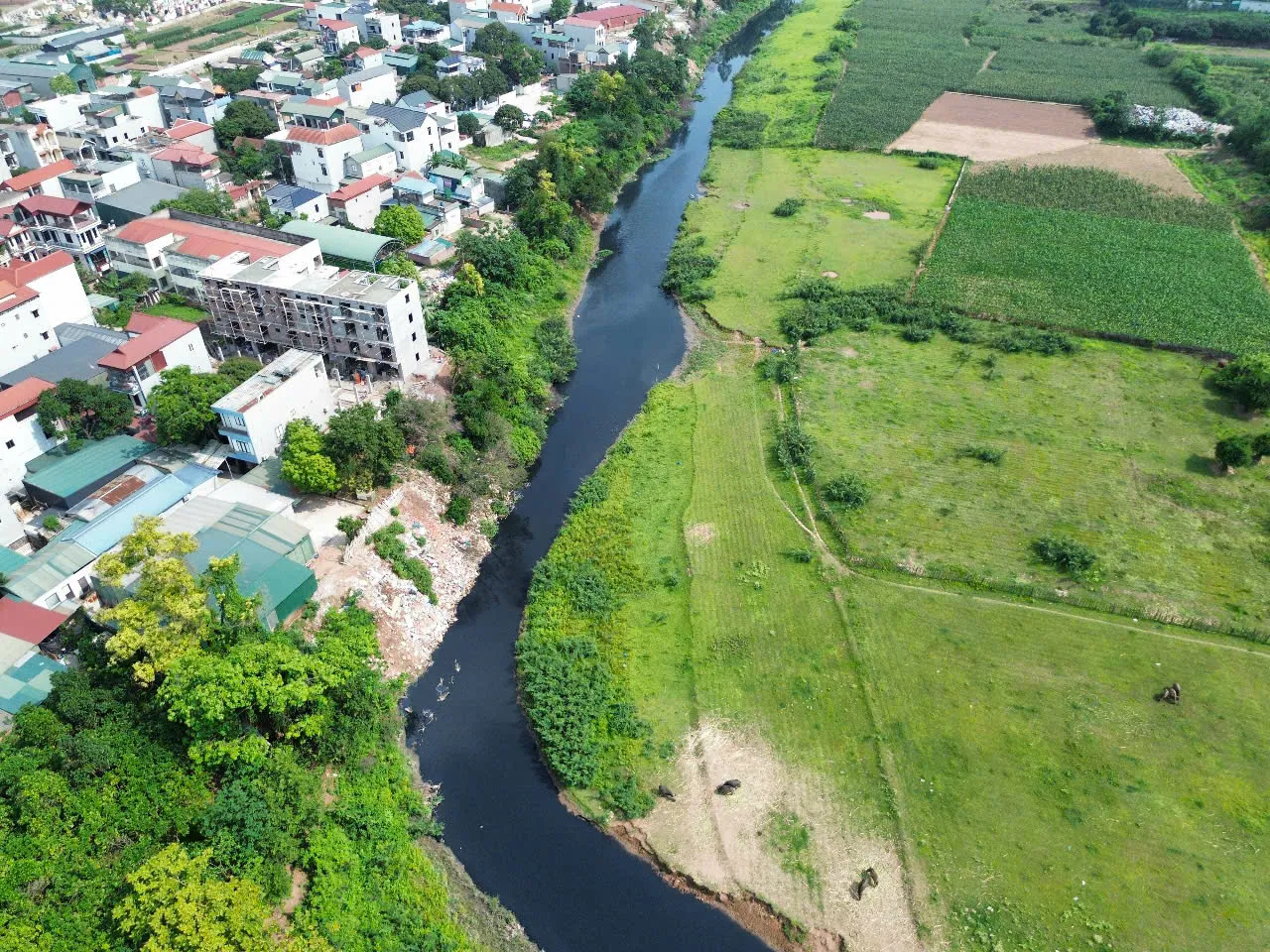 Hình ảnh 1