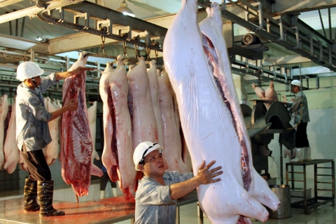 Cần quyết tâm của cả hệ thống chính trị