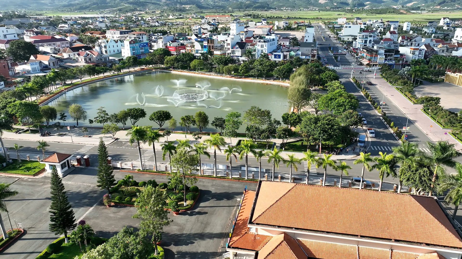 Hình ảnh 1