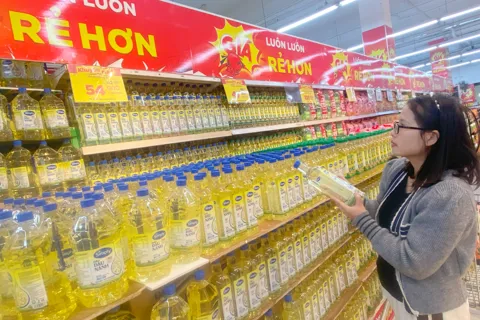 Rủi ro lạm phát lớn, không thể chủ quan
