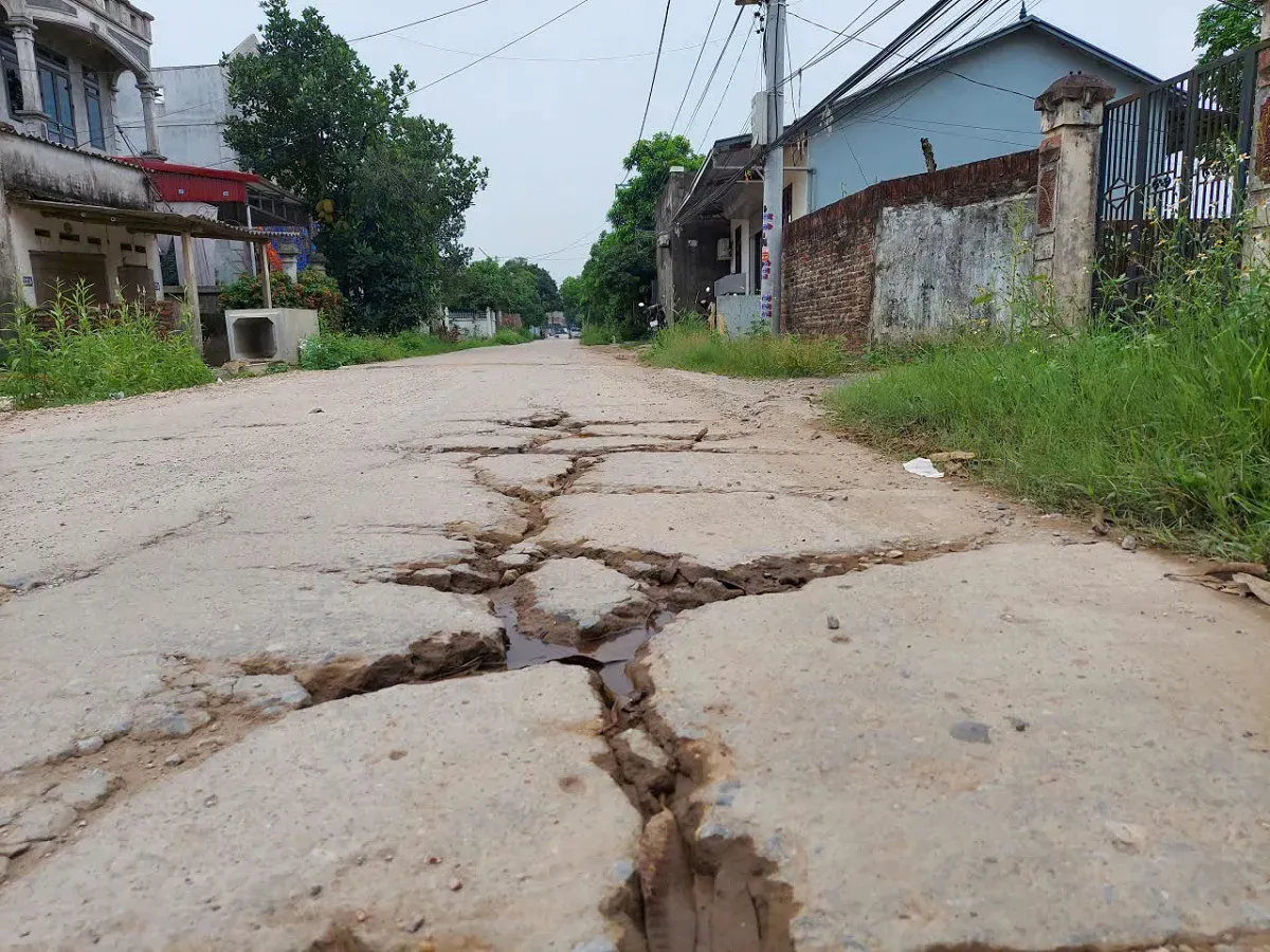 Hình ảnh 2
