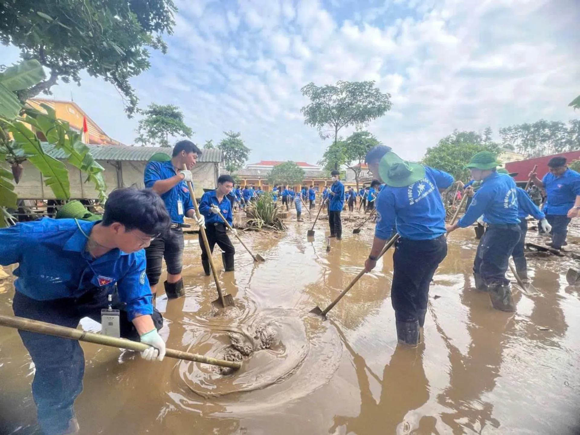 Hình ảnh 1