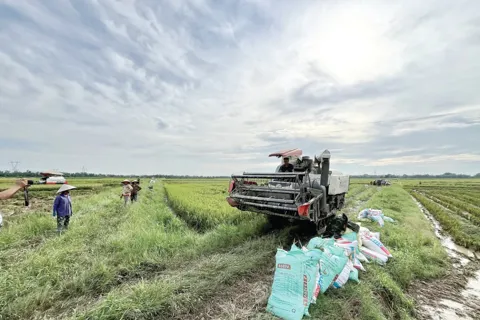 Thành quả từ ý Đảng - lòng dân
