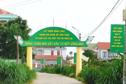 Minh Châu - hòn đảo xanh của Thủ đô trên hành trình vươn mình