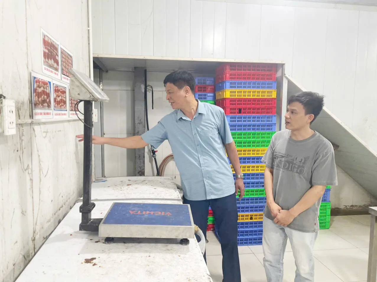 Hình ảnh 7