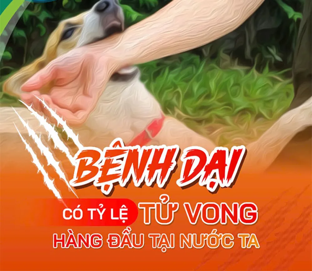 Hình ảnh 3