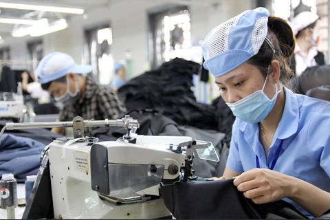 Gần 485.000 người hưởng chế độ BHXH một lần, giảm 13,33%